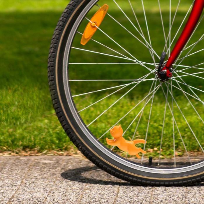 Gattino in bicicletta Kordula